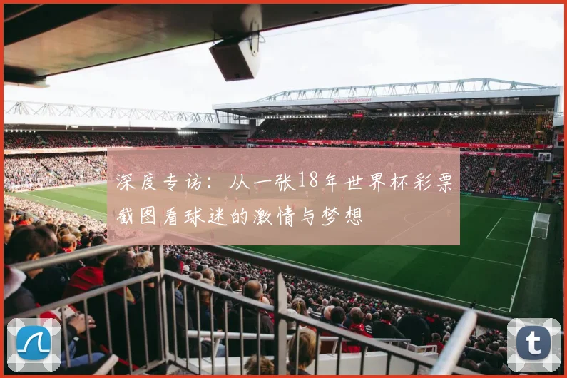 深度专访:从一张18年世界杯彩票截图看球迷的激情与梦想