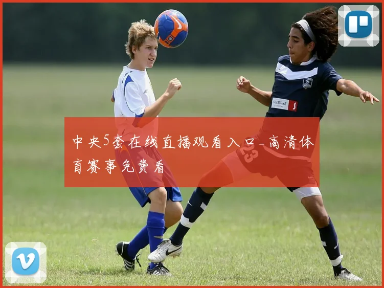 中央5套在线直播观看入口_高清体育赛事免费看