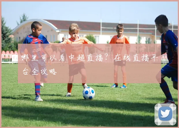 哪里可以看中超直播？在线直播平台全攻略
